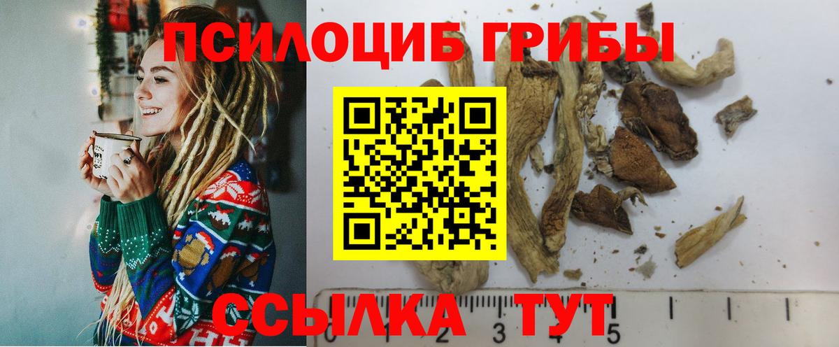 Псилоцибиновые грибы MAGIC MUSHROOMS  закладка  Верхний Уфалей  Галлюциногенные грибы ЛСД  Вход с VPN 